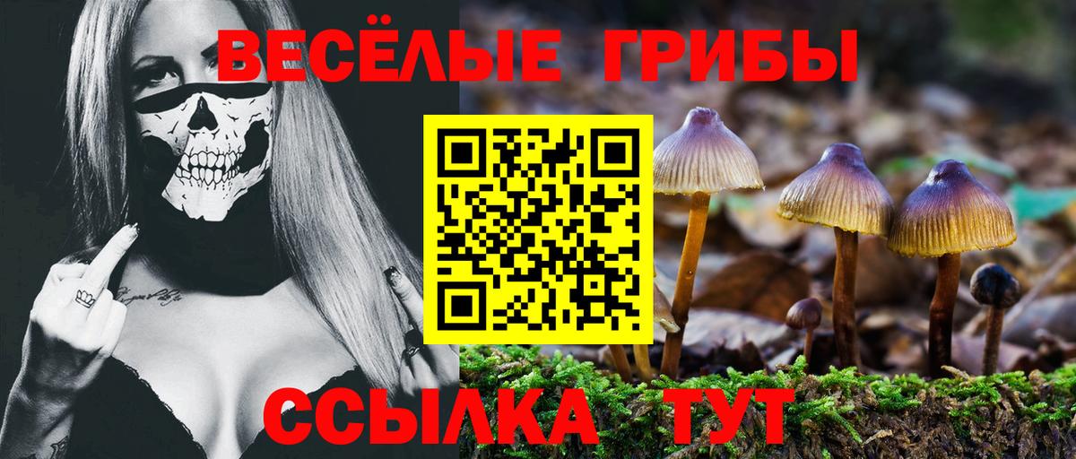 Полысаево  Псилоцибиновые грибы прущие грибы  Псилоцибиновые грибы MAGIC MUSHROOMS  Вход с VPN 